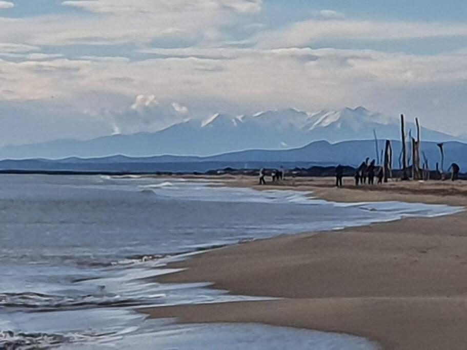 T2 Cosy A La Plage, Terrasse Vue Sur Mer Et Parking Privatif Narbonne Exterior foto