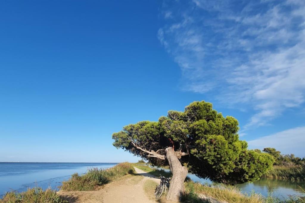 T2 Cosy A La Plage, Terrasse Vue Sur Mer Et Parking Privatif Narbonne Exterior foto
